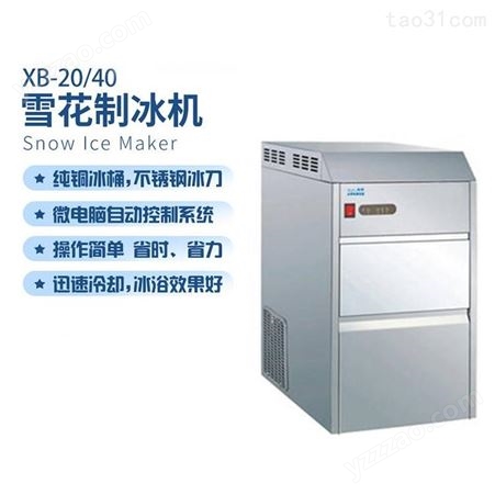 净信XB-40雪花制冰机小型医学实验大型海鲜火锅西餐日料保鲜
