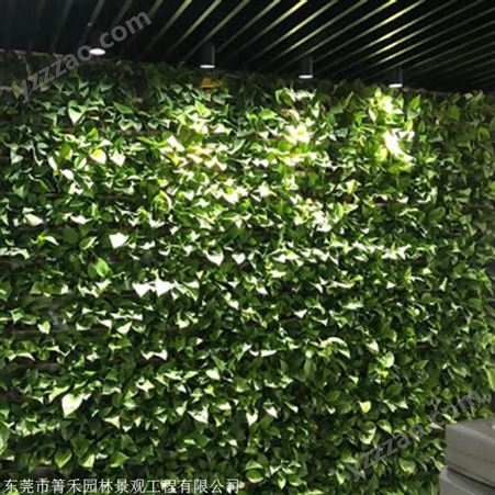 箐禾园林 仿真植物墙生产厂家 厂家绿植墙 仿真植物墙公司绿化