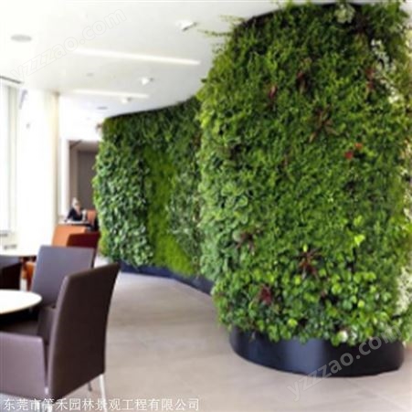 箐禾园林 立体植物墙报价 新型垂直绿化植物墙 植物墙工艺