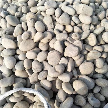 天然鹅卵石厂家 水处理鹅卵石滤料 人工挑选造景五彩石 卵石