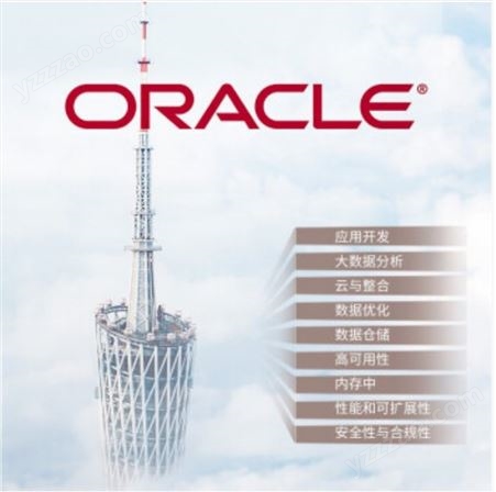 甲骨文ORACLE数据库 正版服务器数据库软件 标准版