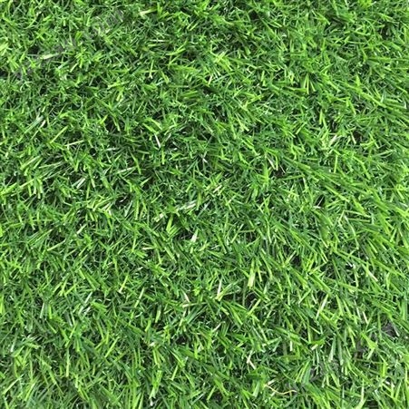 绿色学校运动场人造草坪 地毯围挡 绿化墙草皮施工 易维护打理