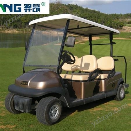 YA-GM2青岛羿昂 电动高尔夫球车 高尔夫代步车 电瓶看房车