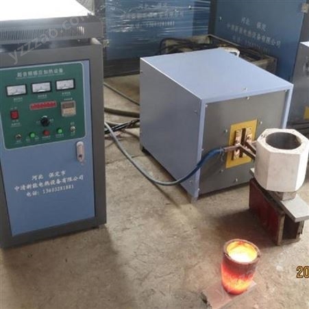 可定制小型超音频熔化炉 粒子钢熔炼炉 水洗豆电炉 中清新能自产自销