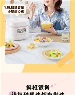 小元气电饭煲智能家用一人食迷你蒸煮米饭锅电器HD3063