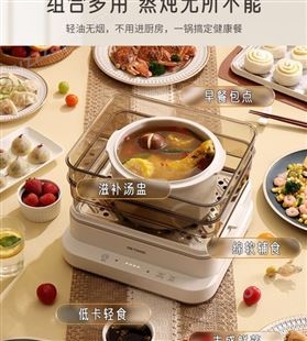 天际电蒸锅家用带炖盅多功能智能全自动预约煲汤粥蒸炖一体蒸汽锅