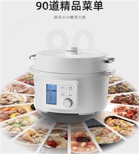 日本IRIS爱丽思电压力锅家用小型爱丽丝电高压锅电饭煲饭锅多功能