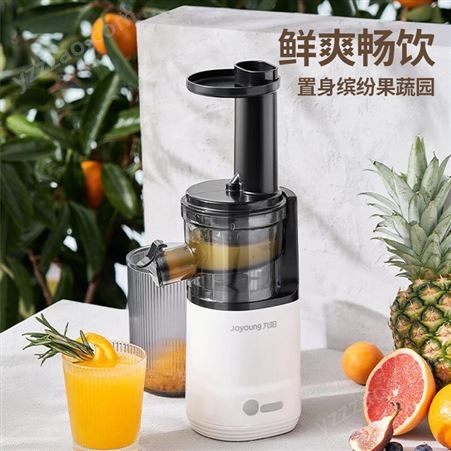 九阳（Joyoung） 原汁机 多功能家用电器榨汁机全自动冷压炸果汁