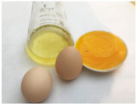 蛋白液 烘焙食材食品原料 蛋液包装 批发蛋白液
