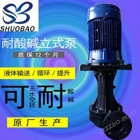 shuobao喷淋立式泵 电泳涂装循环PP液下泵CT-50SK-5 耐酸碱喷淋泵
