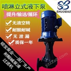 shuobao喷淋立式泵 电泳涂装循环PP液下泵CT-50SK-5 耐酸碱喷淋泵
