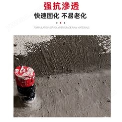 强力砂浆胶 惠州惠阳水泥胶 大型厂