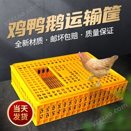 鸡笼周转箱 成鸡运输笼 鸡鸭鹅鸽子家禽运输筐 家用加厚塑料鸡笼兔笼