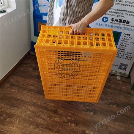 塑料鸡笼 10斤大号家禽周转箱 方形鸡鸭运输笼 鸽子兔子运输筐