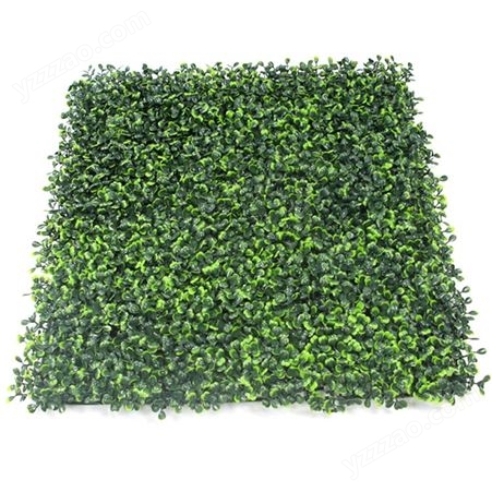 琨至玉 人造仿真植物隐私墙 50*50厘米米兰草坪客厅装饰造景花草