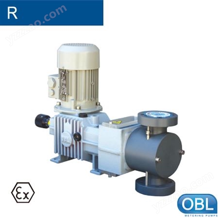 意大利OBL泵R柱塞计量泵