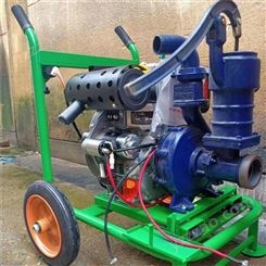 批量供应抽水泵 农用排涝抗旱抽水泵 汽油抽水泵