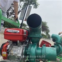 8寸大流量抽水泵 电启动柴油应急泵 大口径排灌抗旱水泵