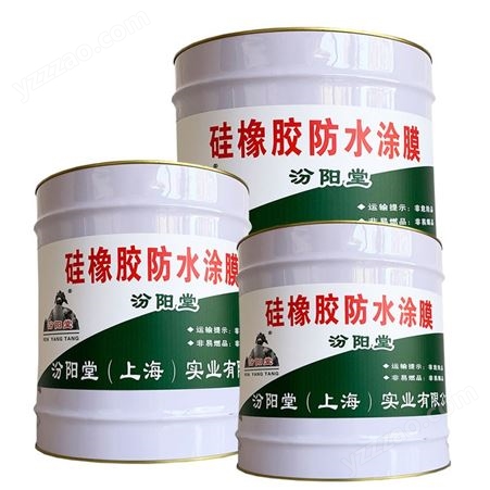 硅橡胶防水涂膜、可用于防腐防水涂料防护层