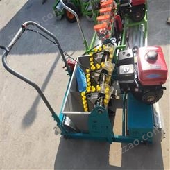 小型自走式汽油机大蒜播种机 7.5马力全自动种蒜机