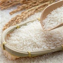 启旺虫蛀大米上门回收过期大米长期回收