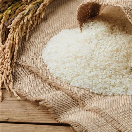 启旺虫蛀大米上门回收过期大米长期回收