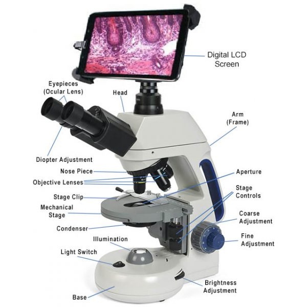 数码显微镜的标记部件